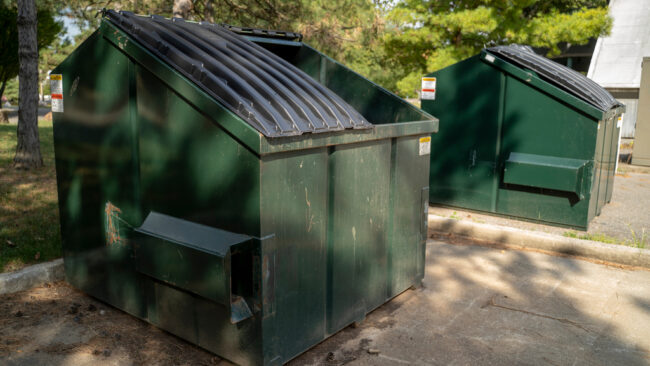 Trash Bin And Dumpster Cleaning